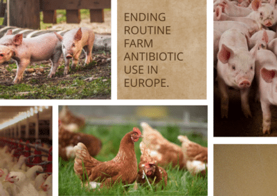 farm antibiotic use