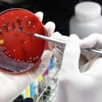 The European Commission is failing to preserve vital antibiotics for human health