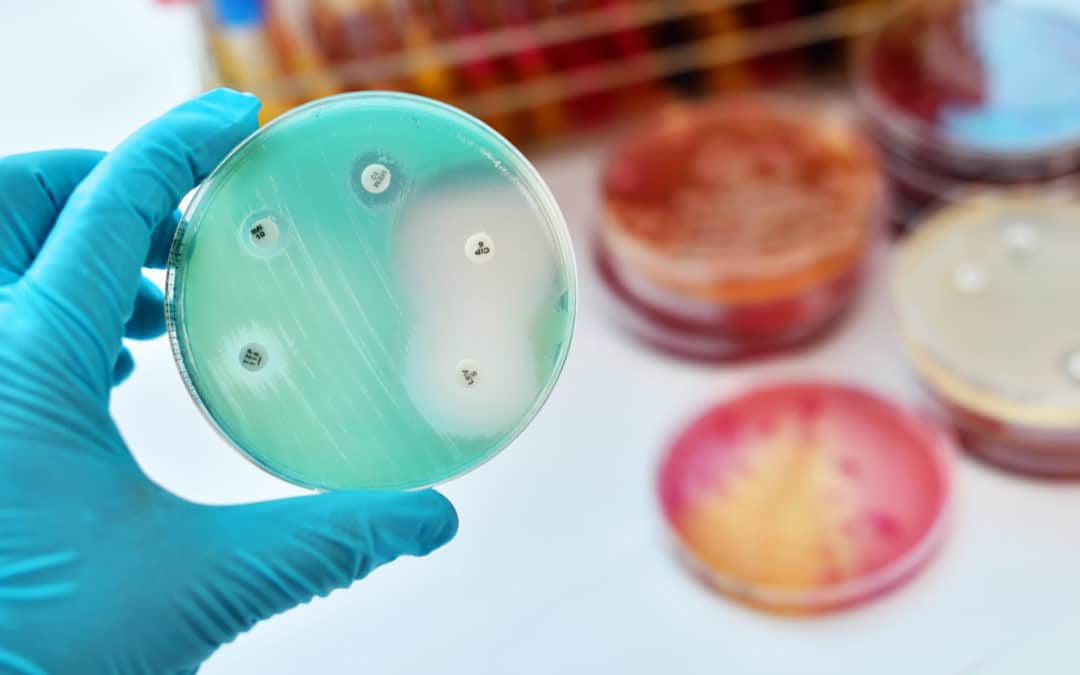 The European Commission should not let the guard down against AMR