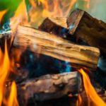 Joint letter | Wood burning harms our health and fuels climate change