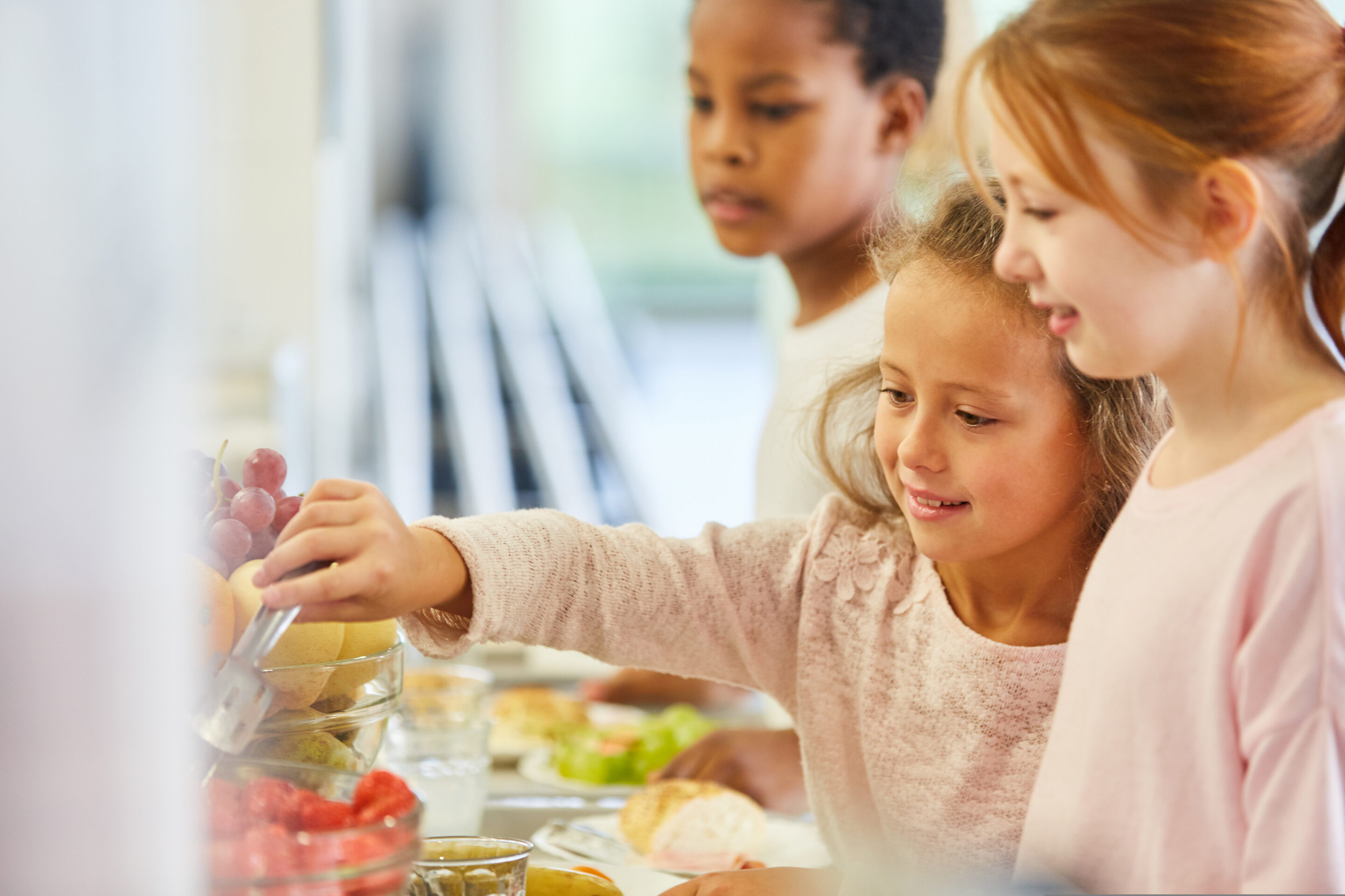 MEPs and citizens agree: children should have access to healthy and sustainable food in schools