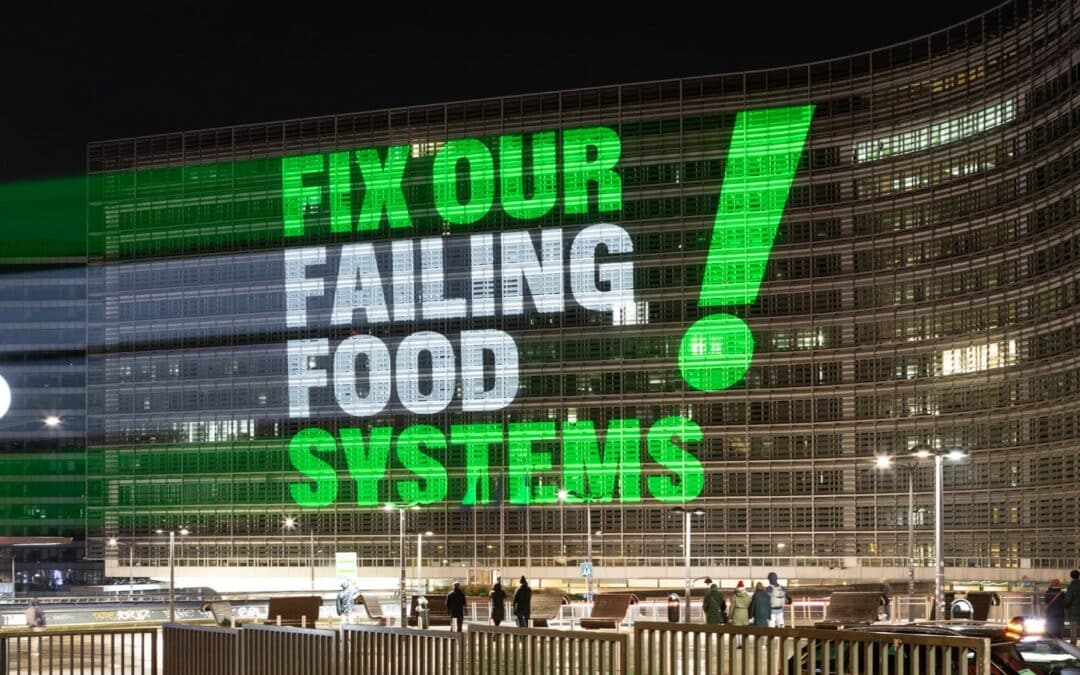Bright lights take aim at EU headquarters: NGOs demand action for sustainable food systems