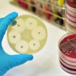 EPHA Newsletter | AMR in focus: addressing antimicrobial resistance in von der Leyen’s second term