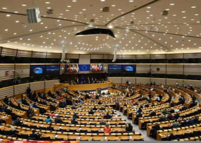 general,view,of,plenary,during,the,speech,of,king,philippe